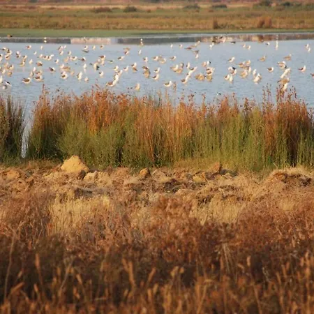 Salgados - Lagoas * Guia (Faro)