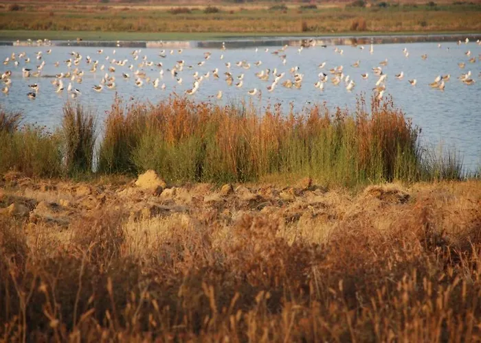 Salgados - Lagoas * ギーア